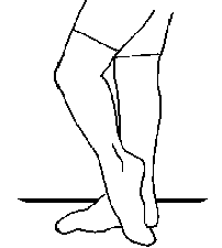 tibialis stretch