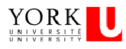 york university toronto logo, kinesiology program toronto, human kinetics